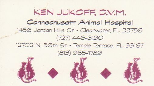 Connechusett Animal Hospital